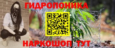 твердый Новокубанск