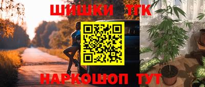 спиды Новозыбков