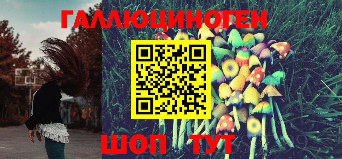 Галлюциногенные грибы мицелий  Вход с VPN  Унеча 