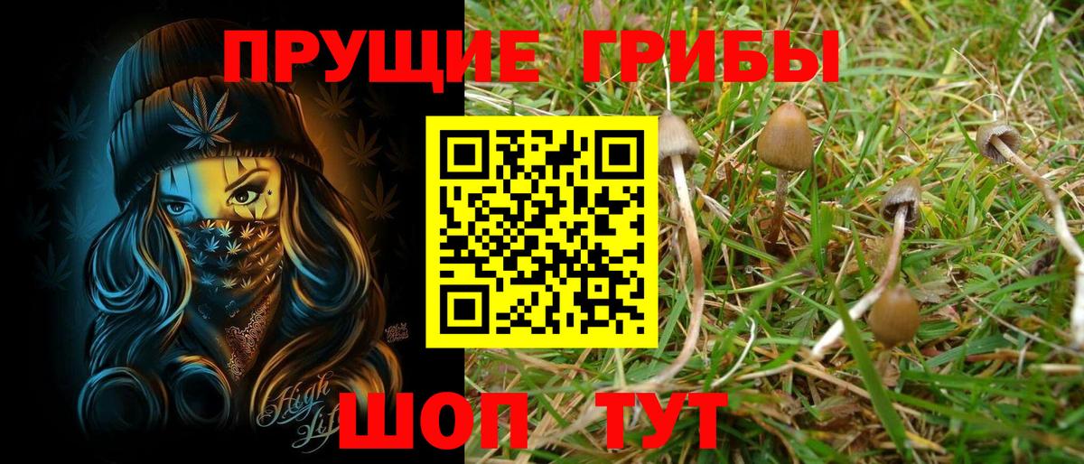 Псилоцибиновые грибы GOLDEN TEACHER Унеча