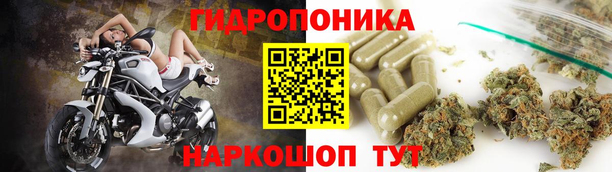 Шишки марихуана ГИДРОПОН  Вход с VPN  Унеча  Конопля SATIVA & INDICA 